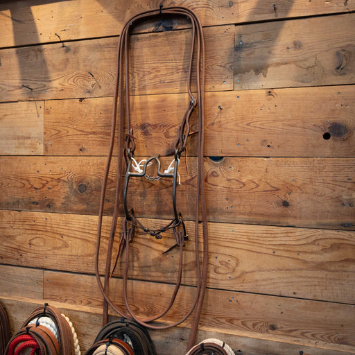 Cathedral Bridle Rig Tack - Rigs MISC