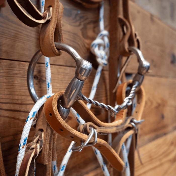 Cow Horse Supply D-Ring Twisted Wire Dogbone Bridle Rig