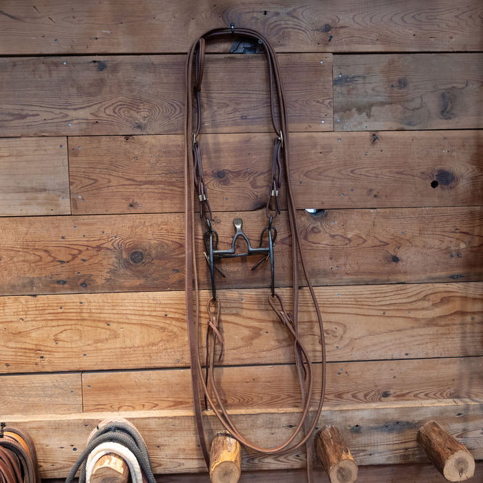 Cathedral Bit Bridle Rig