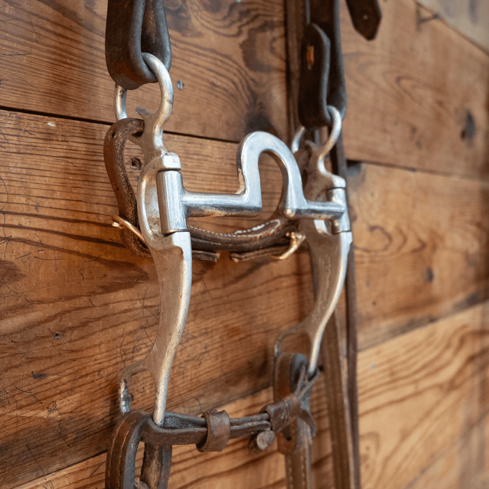 Bill Freeman Mushroom Port Bit Bridle Rig