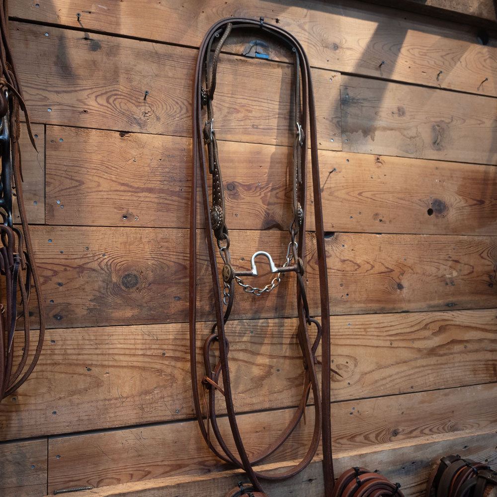 Correction Bit with Silver Concho Star Bridle Rig