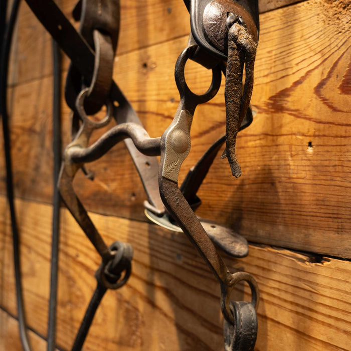 Vintage Horse Bridle Rig with Silver Nickel Dots Tack - Rigs MISC