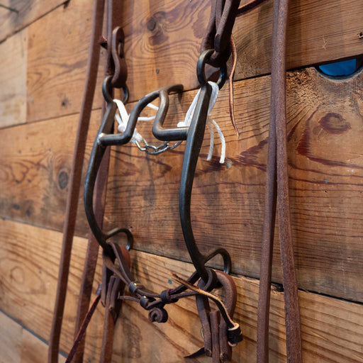 Cathedral Bridle Rig Tack - Rigs MISC