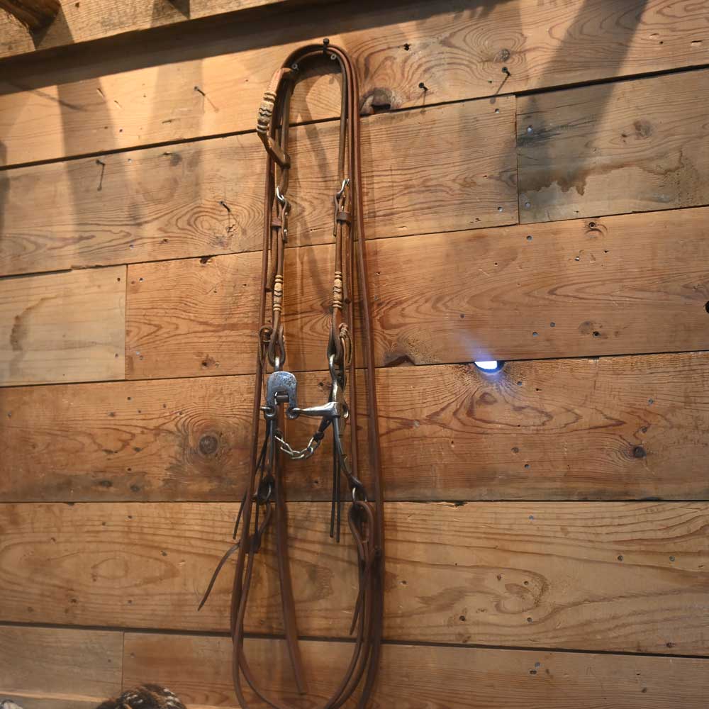 Bridle Rig - Ricky Trammell with a Floating Spoon and Copper Rollers Bit - RIG662 Tack - Rigs Ricky Trammell   