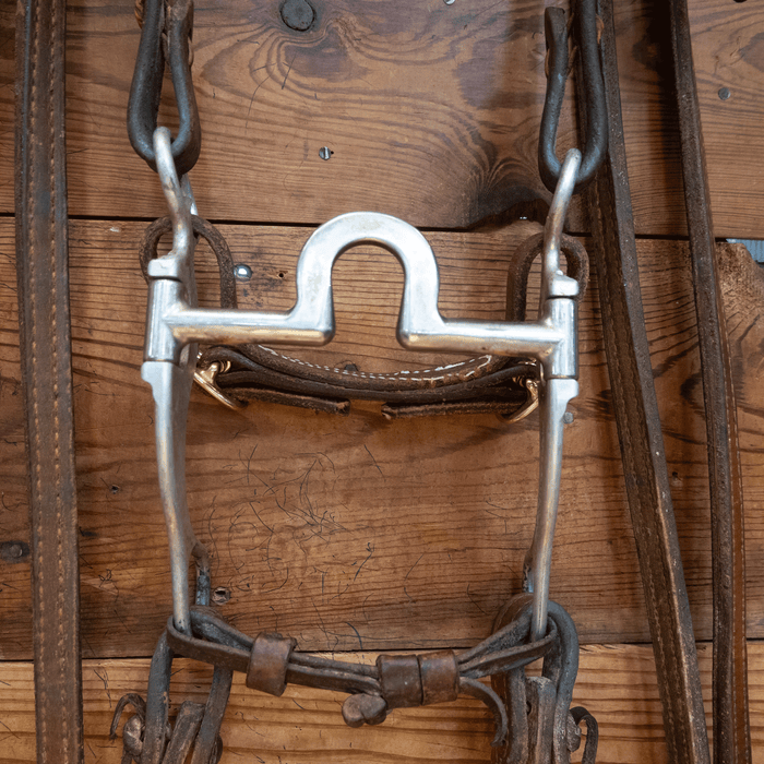 Bill Freeman Mushroom Port Bit Bridle Rig