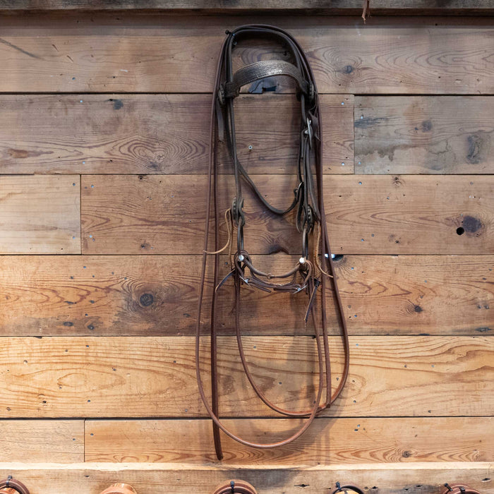 D-Ring Snaffle Bridle Rig
