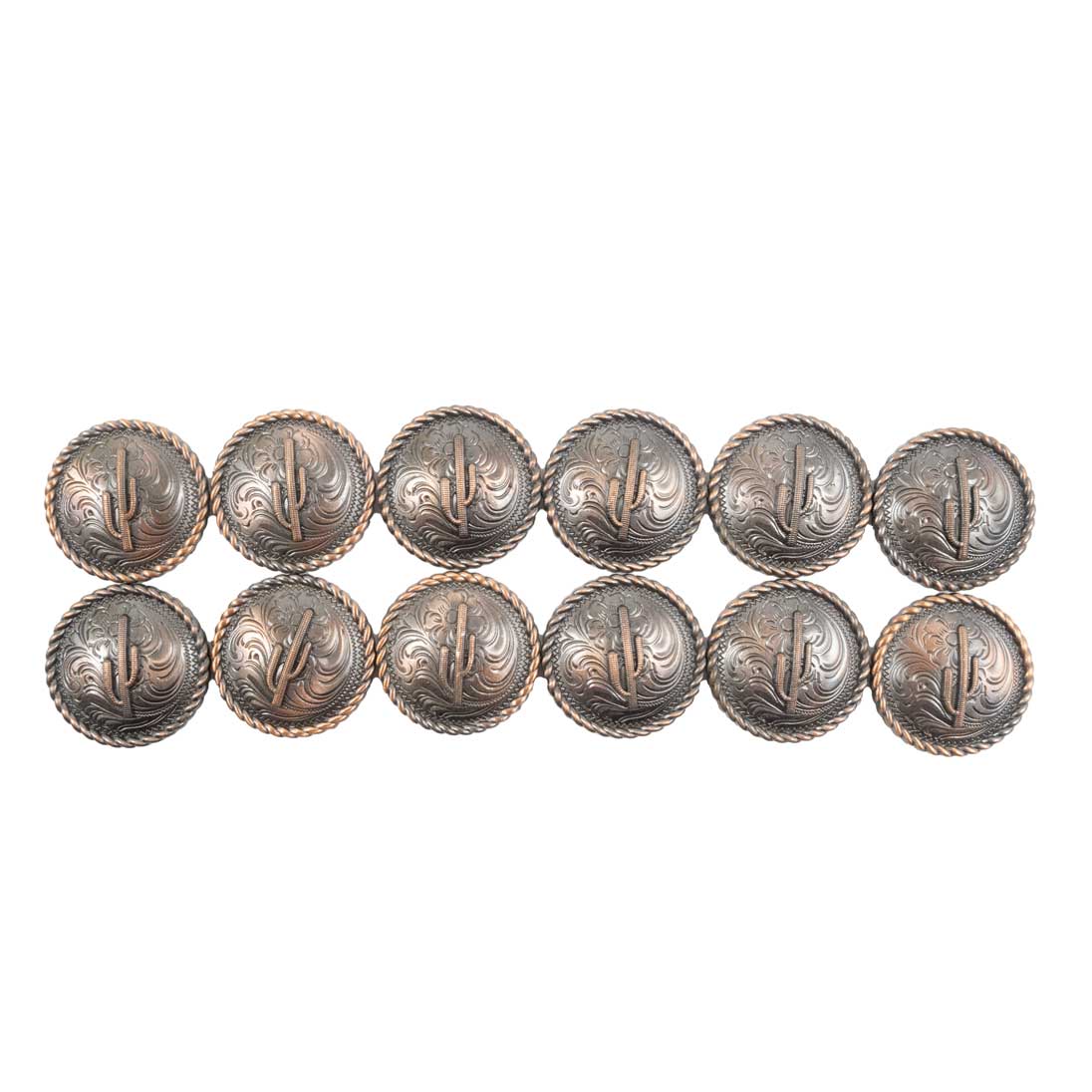 New Catus Set Of 12 1 1/12" Conchos Sale Barn MISC   