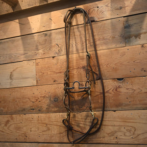 Bridle Rig - Silver Shanked Correction Bit - RIG540 Tack - Rigs MISC   