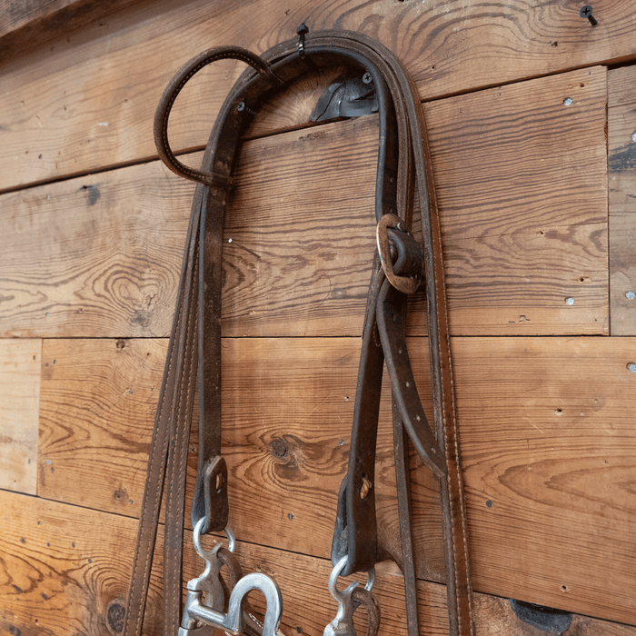 Bill Freeman Mushroom Port Bit Bridle Rig