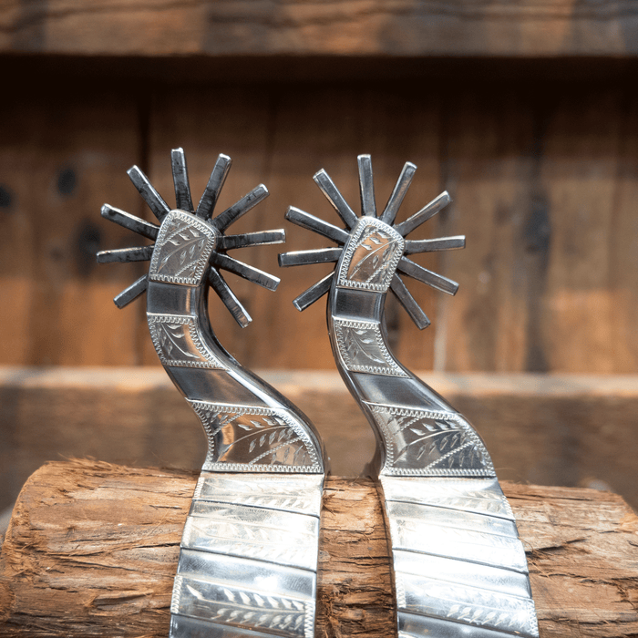 Wayne Dollar Silver Mounted 12pt Spurs