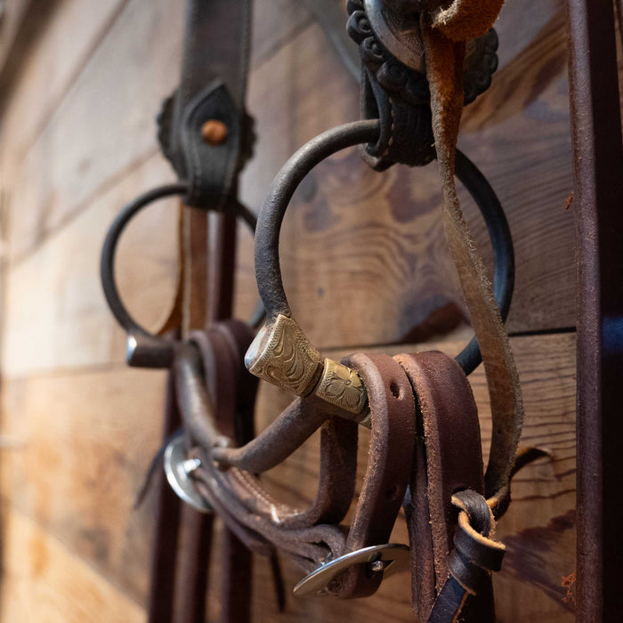D-Ring Snaffle Bridle Rig