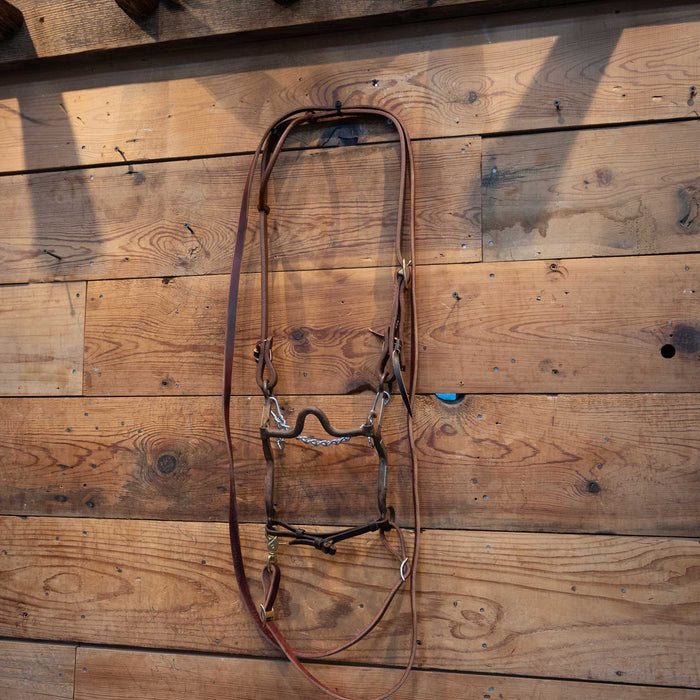 Solid Port on all NEW Leather Bridle Rig Tack - Rigs Professional's Choice