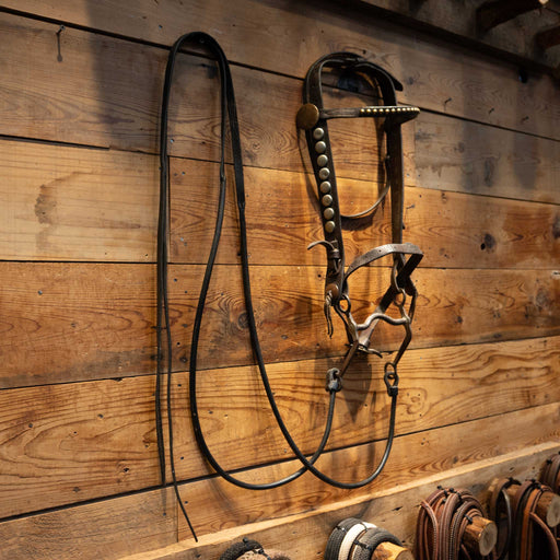Vintage Horse Bridle Rig with Silver Nickel Dots Tack - Rigs MISC