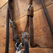 Don Hansen Correction Bridle Rig Tack - Rigs Don Hansen