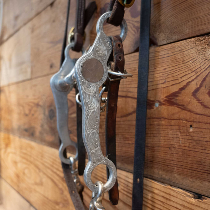 Metalab Robart Cathedral Bridle Rig