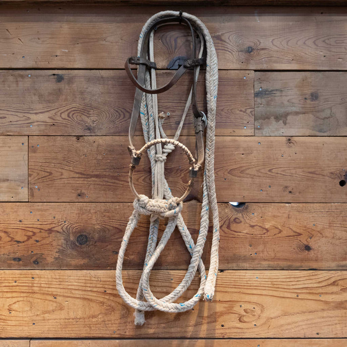 Wire Wrapped Bosal Set-up with Leather Browband