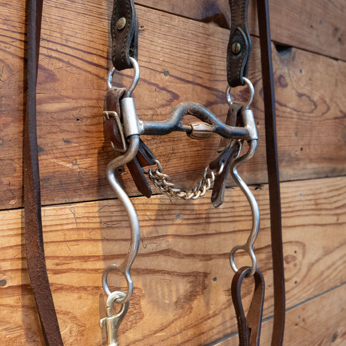 Reinsman Solid Port w/ Cricket Bit Bridle Rig
