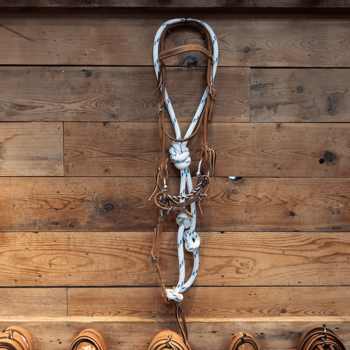 CHS Mitch Draw Dog D-Ring Twisted Snaffle Bridle Rig