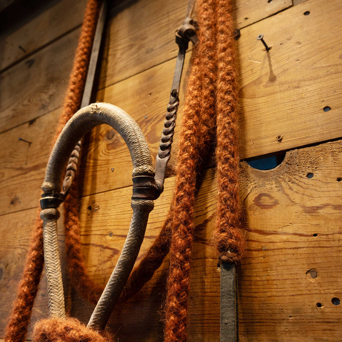 Rawhide Bosal w/ Leather Hanger & Mecate Set up