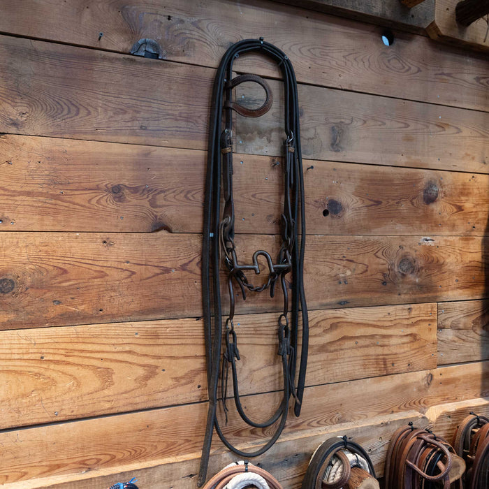Daryl Davis Correction Bridle Rig