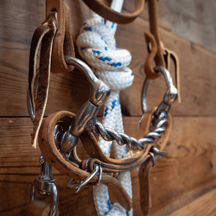 CHS Mitch Draw Dog D-Ring Twisted Snaffle Bridle Rig
