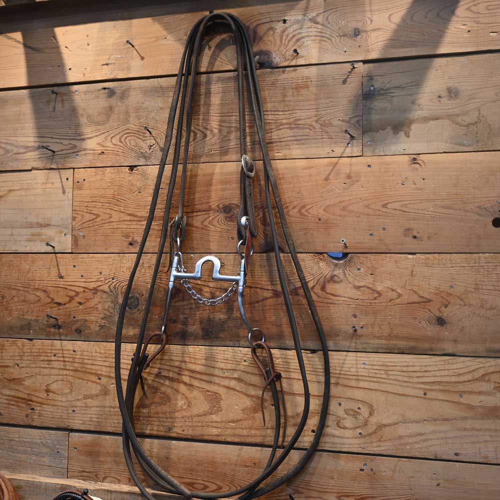 Bill Freeman Solid Port Bridle Rig