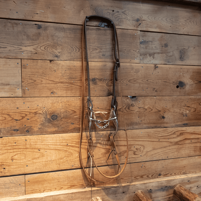 Kerry Kelley Dogbone Bit Bridle Rig