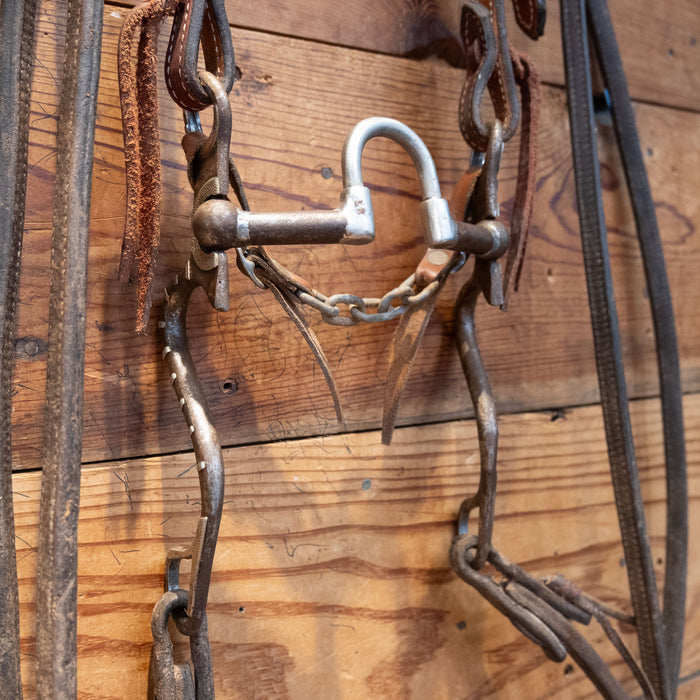 Jesse Cassingham Port Bit w/Spraberry Hardware Bridle Rig