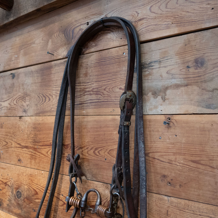 Cowpuncher Correction w/ Copper Rings Bridle Rig