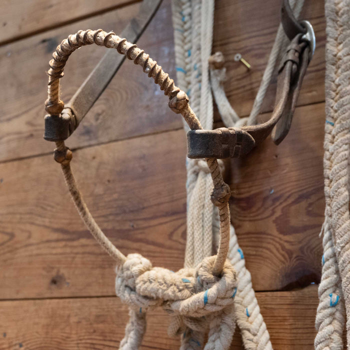 Wire Wrapped Bosal Set-up with Leather Browband