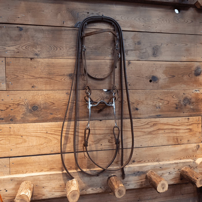 Reinsman Solid Port Bridle Rig