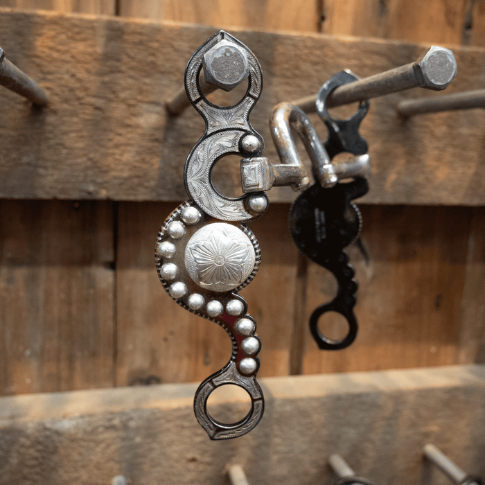 Sunny Silva Silver Mounted Correction Bit