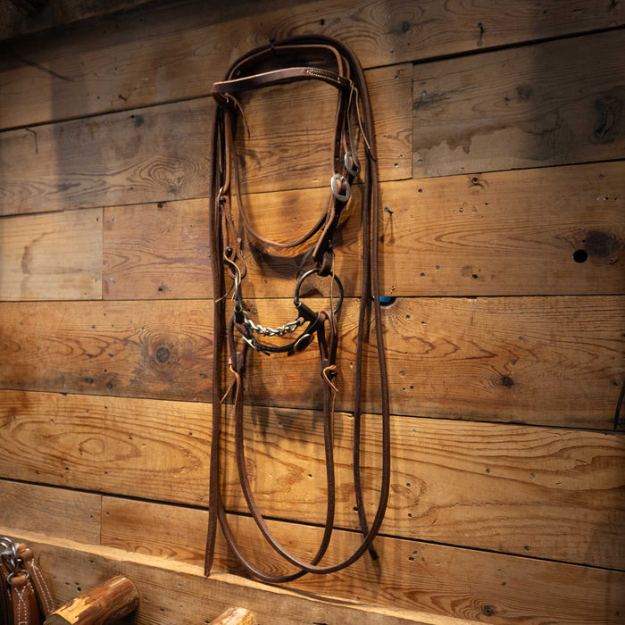 D-Ring Chain Bridle Rig Tack - Rigs MISC