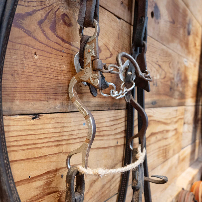 Cowpuncher Ported Chain Bridle Rig