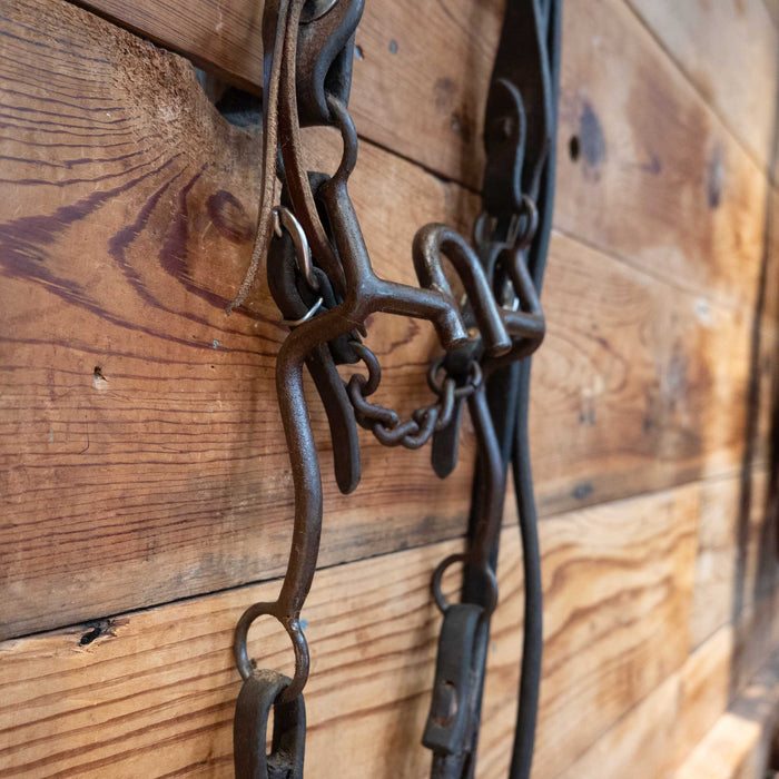 Daryl Davis Correction Bridle Rig