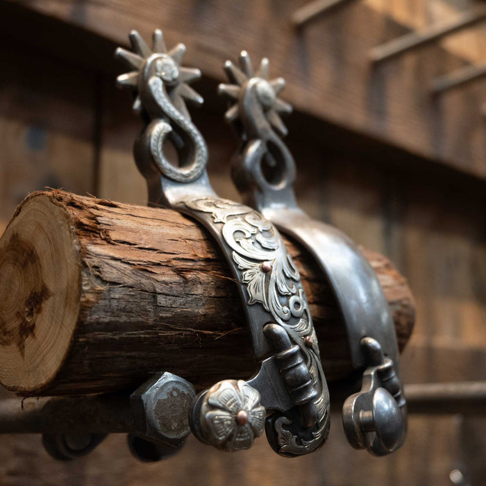 Kerry Kelley 10pt Chihuahua Spurs