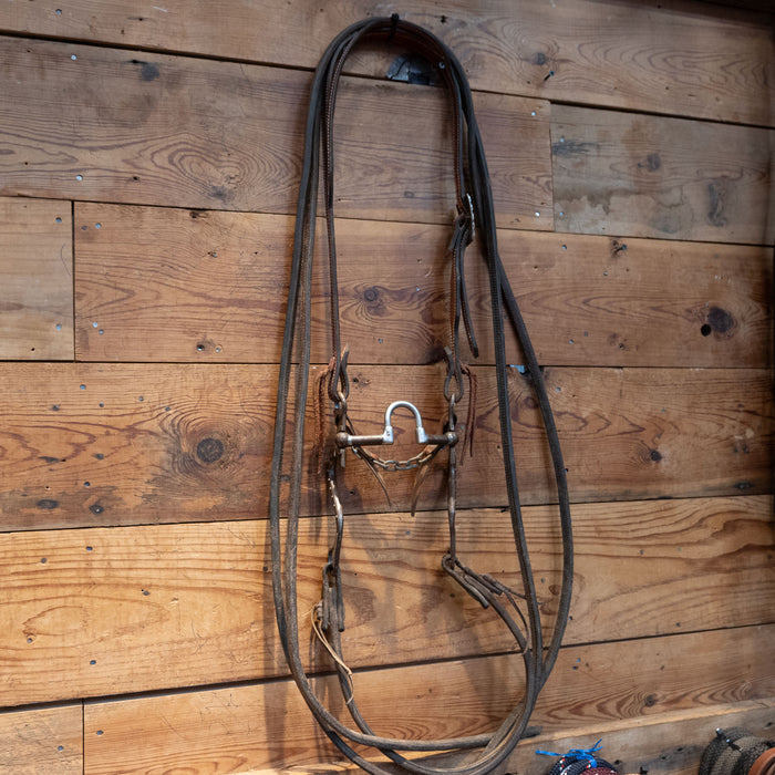 Jesse Cassingham Port Bit w/Spraberry Hardware Bridle Rig