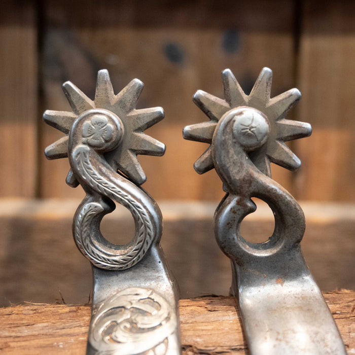 Kerry Kelley 10pt Chihuahua Spurs