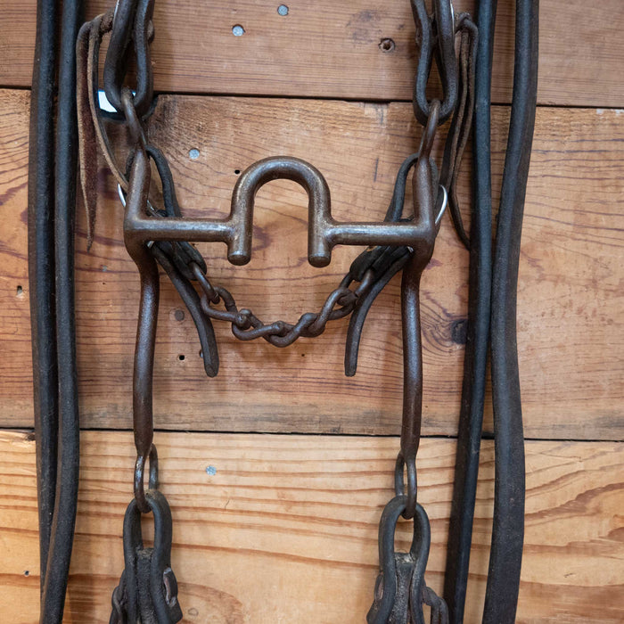 Daryl Davis Correction Bridle Rig