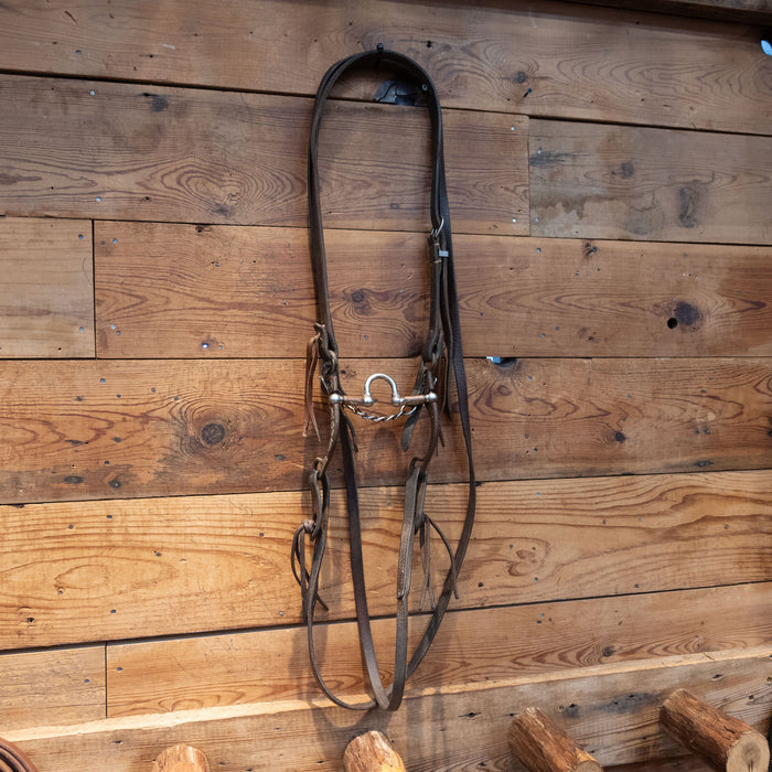 Kerry Kelley Silver Mounted Correction Bridle Rig