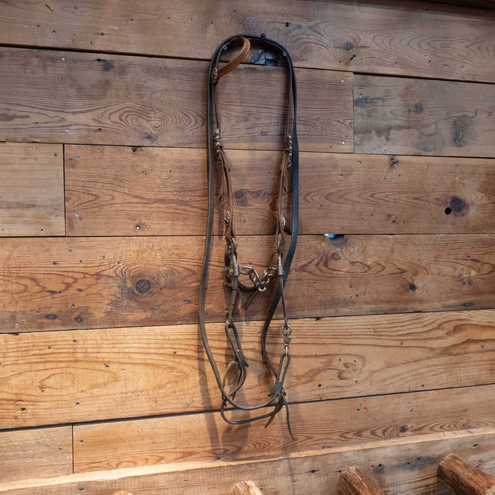 Chain Bit Bridle Rig