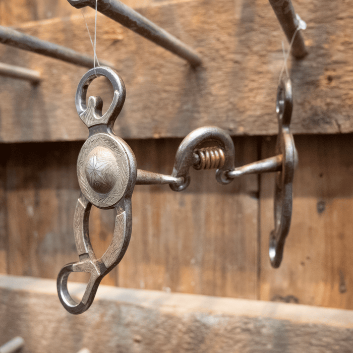 Wayne Dollar Loose Port Bit