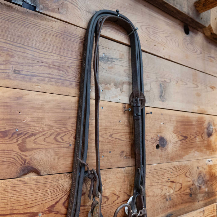 Cowpuncher Ported Chain Bridle Rig