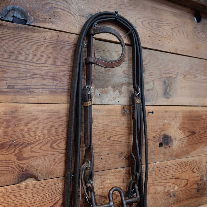 Daryl Davis Correction Bridle Rig