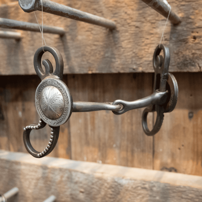 Damon Garren Snaffle Bit