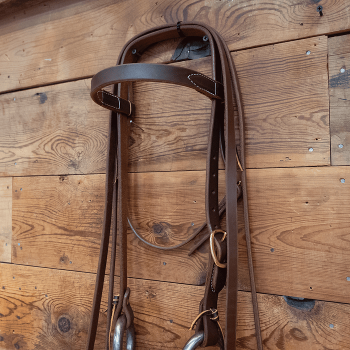 3lb. Weighted O-Ring Snaffle Bridle Rig