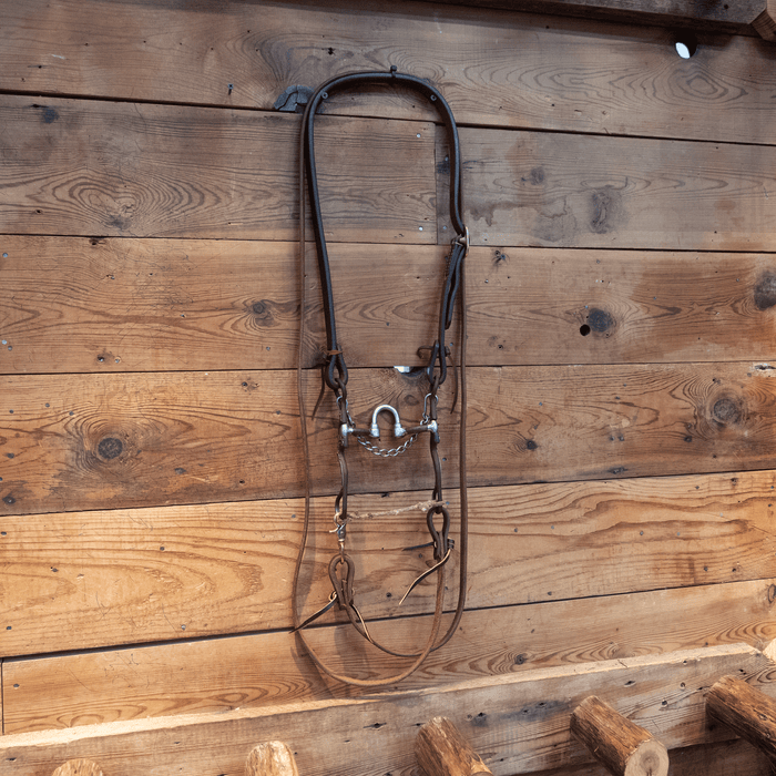Correction Bridle Rig