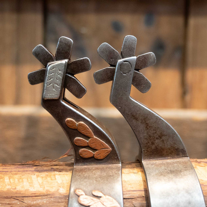 Brandon Bradley Silver Mounted 6pt. Spurs