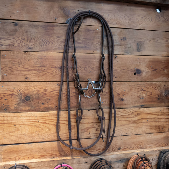 Cathedral Bridle Rig