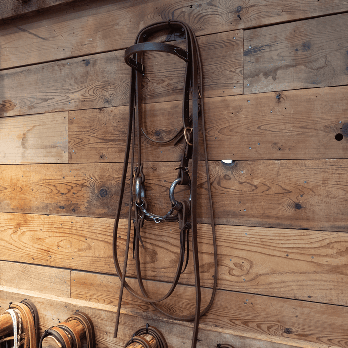 3lb. Weighted O-Ring Snaffle Bridle Rig